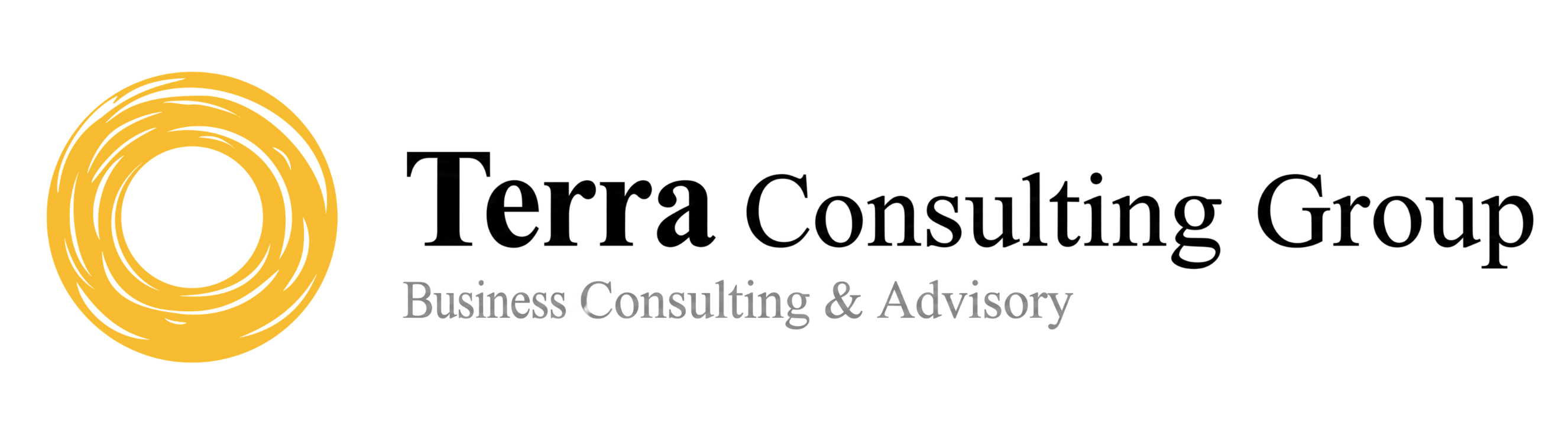 Terra Consulting Group — Business Consulting & Advisory